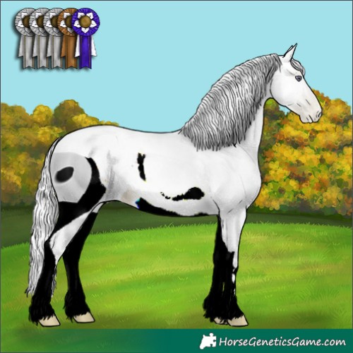 Horse Color:ERROR: UNKNOWN ANOMALY