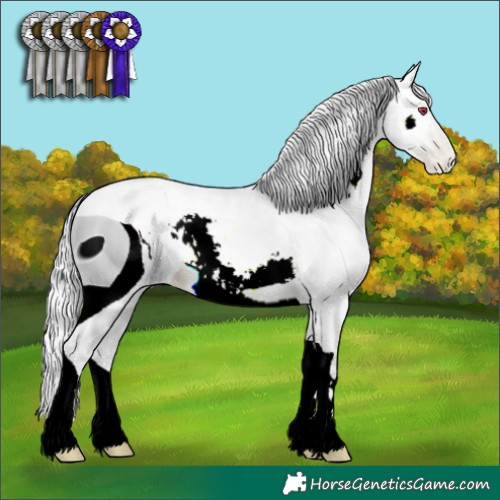Horse Color:ERROR: UNKNOWN ANOMALY