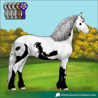 Horse Color:ERROR: UNKNOWN ANOMALY