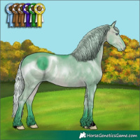 Horse Color:ERROR: UNKNOWN ANOMALY