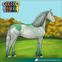 Horse Color:ERROR: UNKNOWN ANOMALY