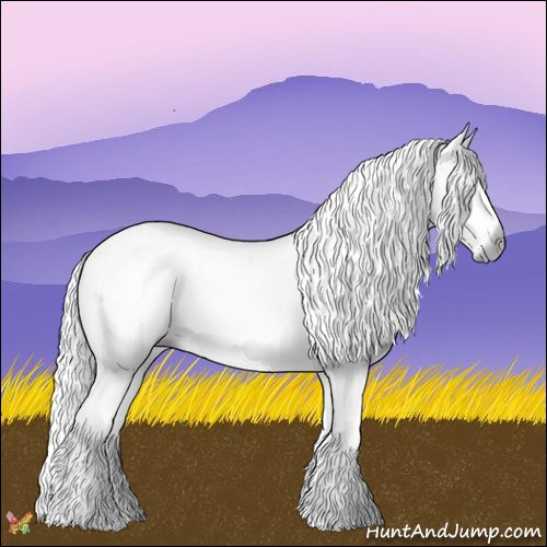 Horse Color:Gray Nacre Watercolor White Spotted Brown Ice Sabino Appaloosa 