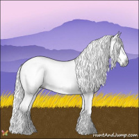 Horse Color:Gray Nacre Watercolor White Spotted Brown Ice Sabino Near Leopard 