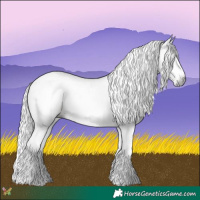Horse Color:Gray Watercolor White Spotted Brown 