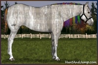 Horse Color:Painted Plaid  Grullo Ice 