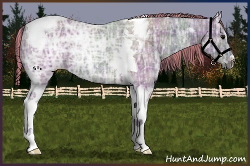 Horse Color:Painted Plaid  Grullo Ice Tobiano 