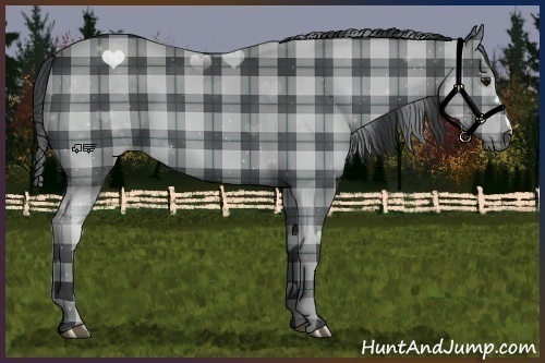 Horse Color:Plaid Black Chinchilla