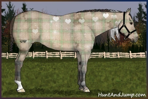 Horse Color:Plaid  Bay Ice Dun 