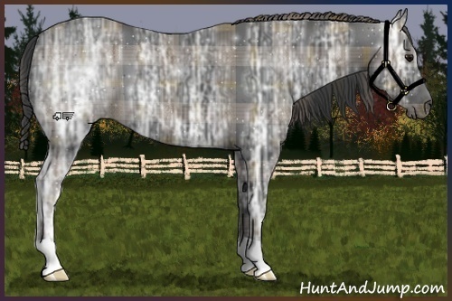 Horse Color:Plaid Black Ice