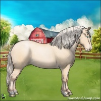 Horse Color:Silver Buckskin Pearl Dun Sabino