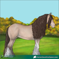 Horse Color:Amber Champagne Tobiano 