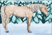 Horse Color:White Spotted Silver Brown Ice Roan Pearl 