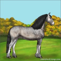Horse Color:Blue Onyx Ice Sabino