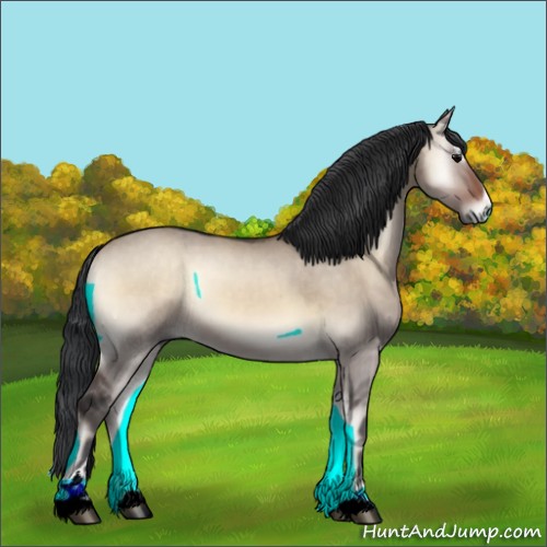 Horse Color:Brown Onyx Sabino 