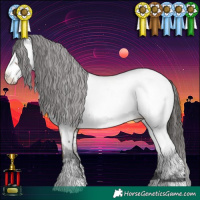 Horse Color:Brown Roan Dun Appaloosa 