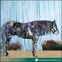 Horse Color:ERROR: UNKNOWN ANOMALY and ERROR: UNKNOWN ANOMALY