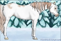 Horse Color:Red Dun Ice Sabino Frame 