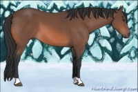 Horse Color:Bay Mushroom 