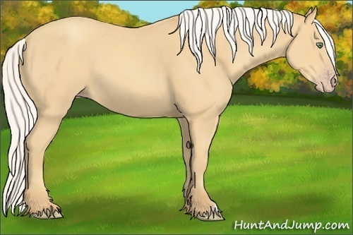 Horse Color:Silver Amber Cream Champagne 