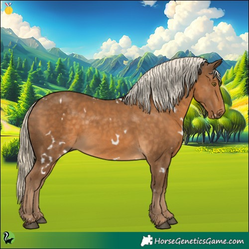 Horse Color:White Spotted Chocolate Palomino
