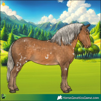 Horse Color:White Spotted Chocolate Palomino 