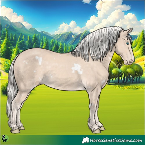 Horse Color:White Spotted Cremello 