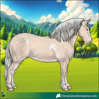 Horse Color:White Spotted Cremello 