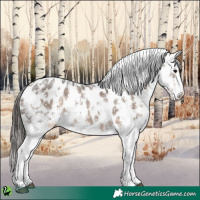 Horse Color:Brown Dun Sabino Appaloosa 