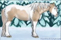 Horse Color:Chocolate Palomino Pearl Splash Tobiano 