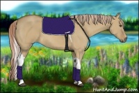 Horse Color:Palomino Dun Tobiano 