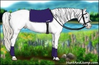 Horse Color:Perlino Near Leopard 