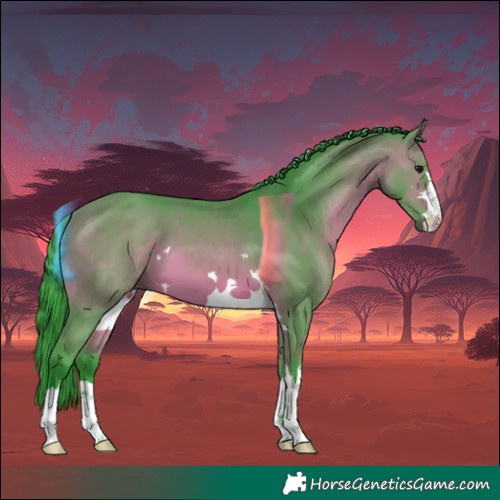 Horse Color:Watercolor Bay 
