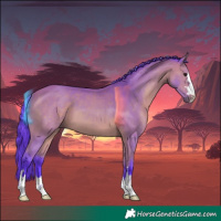Horse Color:Watercolor Bay
