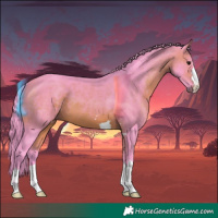 Horse Color:Watercolor Brown 