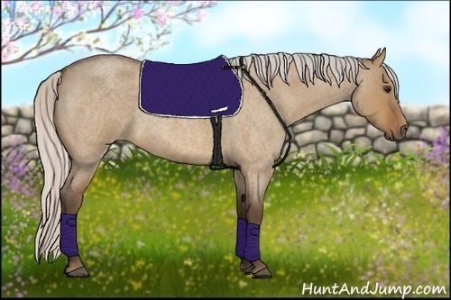 Horse Color:Silver Bay Roan Dun 