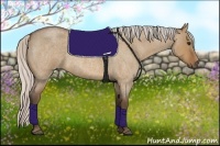 Horse Color:Silver Bay Roan Dun 