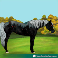 Horse Color:ERROR: UNKNOWN ANOMALY