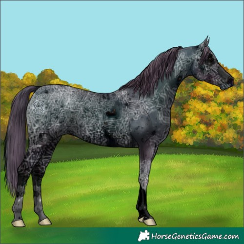 Horse Color:ERROR: UNKNOWN ANOMALY