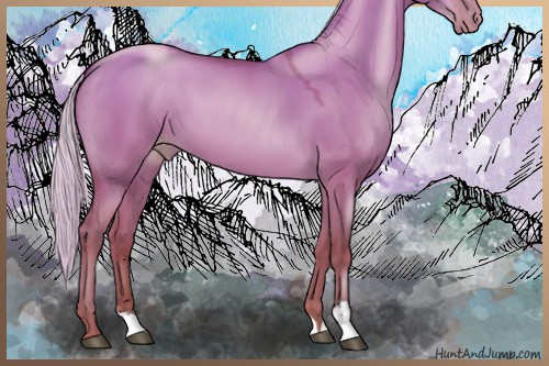 Horse Color:Silver Brown Pearl Dun 