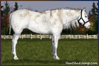 Horse Color:Buckskin Dun Sabino 