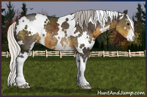 Horse Color:White Spotted Silver Smoky Black Sabino