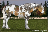 Horse Color:White Spotted Silver Smoky Black Sabino 