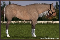 Horse Color:Silver Brown Dun 