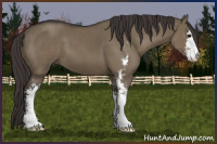 Horse Color:Smoky Grullo Sabino 
