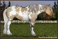 Horse Color:White Spotted Silver Buckskin Dun 