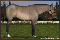 Horse Color:Brown Dun Rabicano 