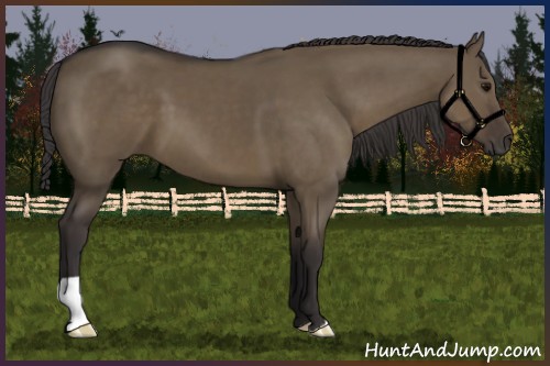 Horse Color:Smoky Grullo
