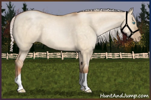 Horse Color:Silver Buckskin Pearl Dun