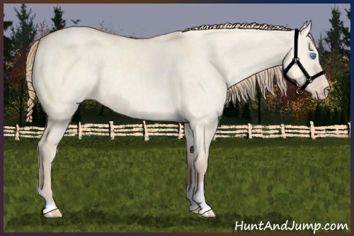 Horse Color:Perlino Dun 