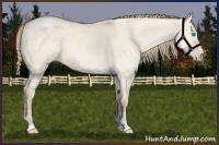 Horse Color:Perlino Dun 